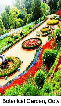 Botanical Garden, Ooty