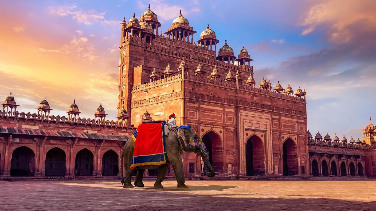 Discover India with Erco Travels